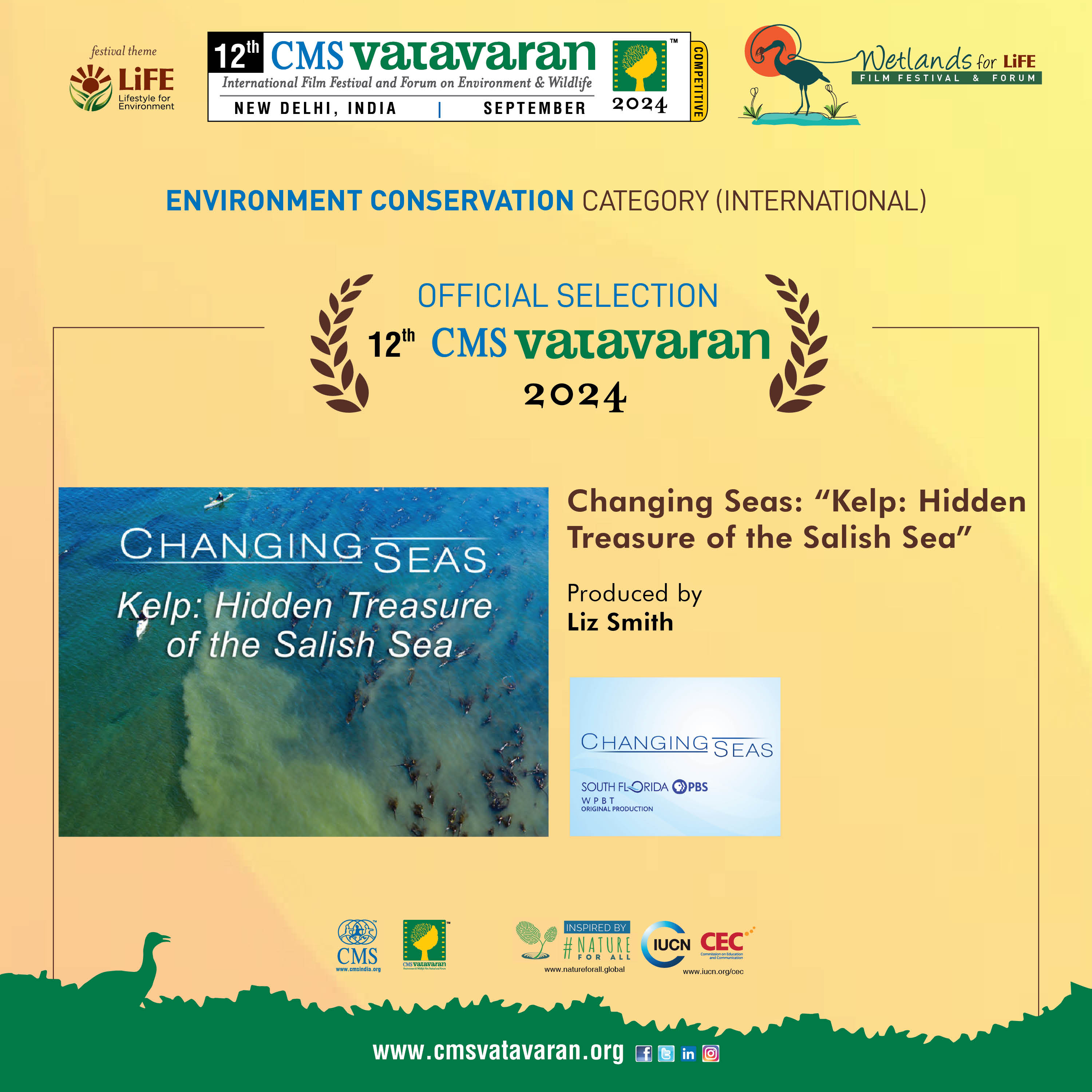 Changing Seas:Kelp: Hidden Treasure of the Salish Sea